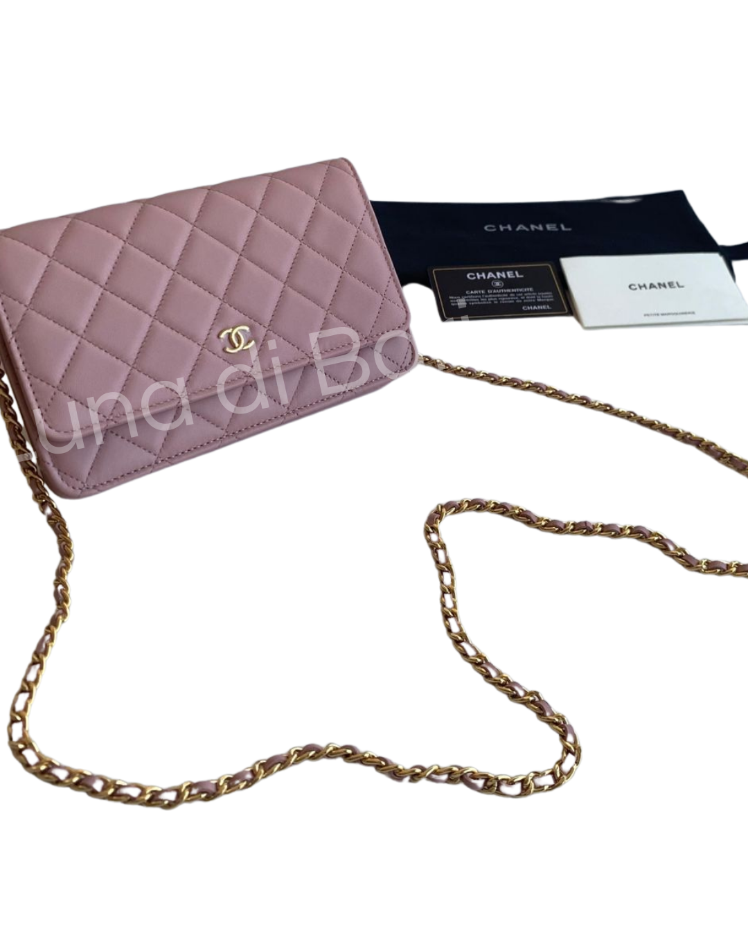 WOC | Wallet on Chain Clássica | Chanel - Imagem 20