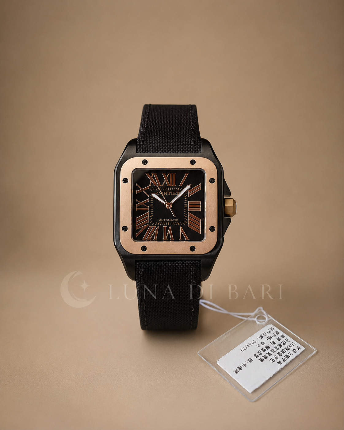 Cartier Cartier Santos 100